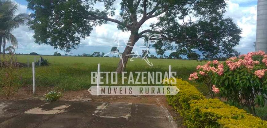 Fazenda à Venda 1.000 Alqueires Infra Completa e Pista de Pouso – Porteira Fechada  | Formosa/GO