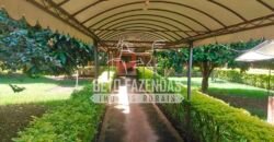 Fazenda à Venda 1.000 Alqueires Infra Completa e Pista de Pouso – Porteira Fechada  | Formosa/GO