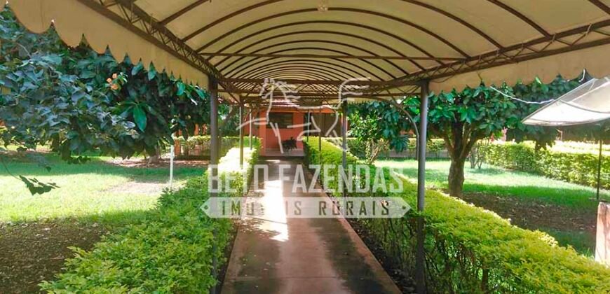 Fazenda à Venda 1.000 Alqueires Infra Completa e Pista de Pouso – Porteira Fechada  | Formosa/GO