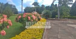 Fazenda à Venda 1.000 Alqueires Infra Completa e Pista de Pouso – Porteira Fechada  | Formosa/GO