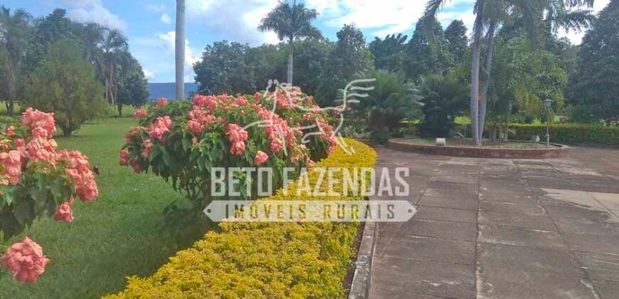 Fazenda à Venda 1.000 Alqueires Infra Completa e Pista de Pouso – Porteira Fechada  | Formosa/GO