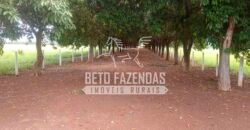 Fazenda à Venda 1.000 Alqueires Infra Completa e Pista de Pouso – Porteira Fechada  | Formosa/GO