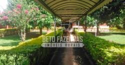 Fazenda à Venda 1.000 Alqueires Infra Completa e Pista de Pouso – Porteira Fechada  | Formosa/GO