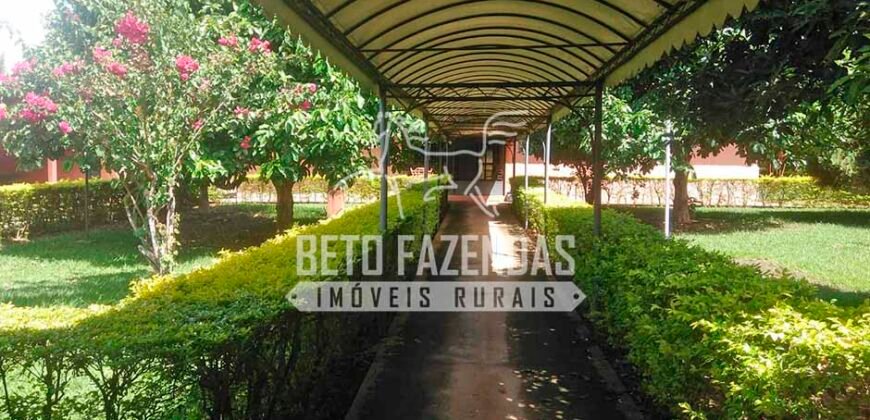 Fazenda à Venda 1.000 Alqueires Infra Completa e Pista de Pouso – Porteira Fechada  | Formosa/GO