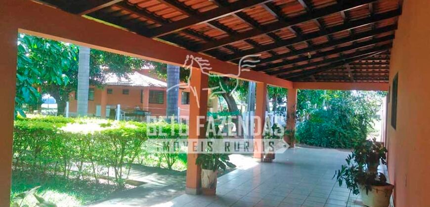 Fazenda à Venda 1.000 Alqueires Infra Completa e Pista de Pouso – Porteira Fechada  | Formosa/GO