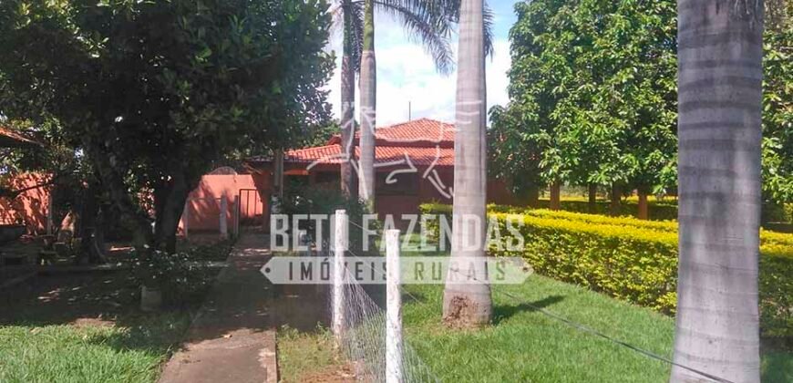 Fazenda à Venda 1.000 Alqueires Infra Completa e Pista de Pouso – Porteira Fechada  | Formosa/GO