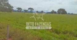 Fazenda à Venda 1.000 Alqueires Infra Completa e Pista de Pouso – Porteira Fechada  | Formosa/GO