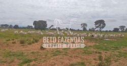 Fazenda à Venda 1.000 Alqueires Infra Completa e Pista de Pouso – Porteira Fechada  | Formosa/GO