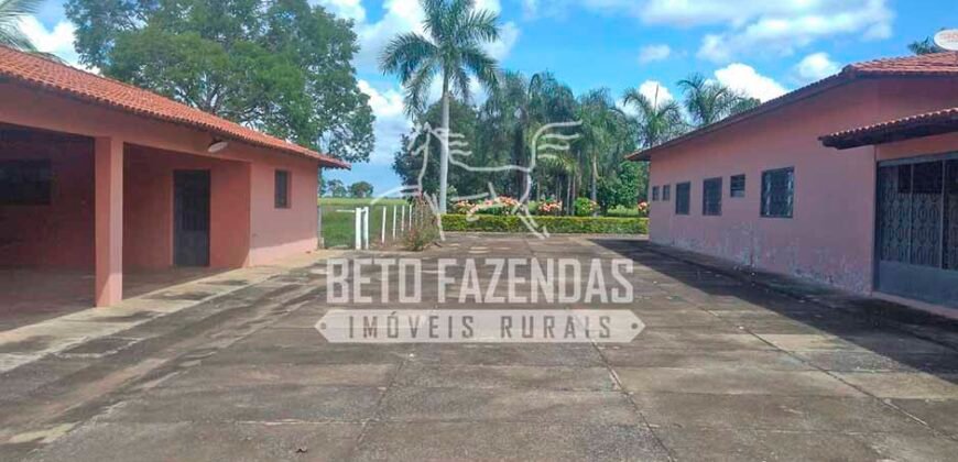 Fazenda à Venda 1.000 Alqueires Infra Completa e Pista de Pouso – Porteira Fechada  | Formosa/GO