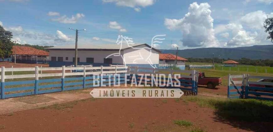 Fazenda à Venda 1.000 Alqueires Infra Completa e Pista de Pouso – Porteira Fechada  | Formosa/GO