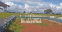 Fazenda à Venda 1.000 Alqueires Infra Completa e Pista de Pouso – Porteira Fechada  | Formosa/GO