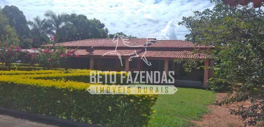 Fazenda à Venda 1.000 Alqueires Infra Completa e Pista de Pouso – Porteira Fechada  | Formosa/GO