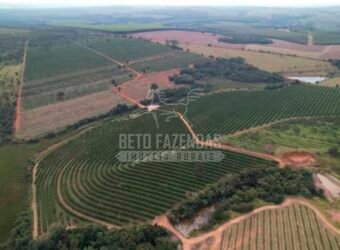 Fazenda de Laranja à Venda 170 Alqueires Infraestrutura Completa | Angatuba/ SP Fazenda de Laranja à Venda 170 Alqueires Infraestrutura Completa | Angatuba/ SP