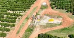 Fazenda de Laranja à Venda 170 Alqueires Infraestrutura Completa | Angatuba/ SP
