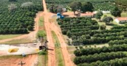 Fazenda de Laranja à Venda 170 Alqueires Infraestrutura Completa | Angatuba/ SP