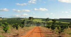 Fazenda de Laranja à Venda 170 Alqueires Infraestrutura Completa | Angatuba/ SP