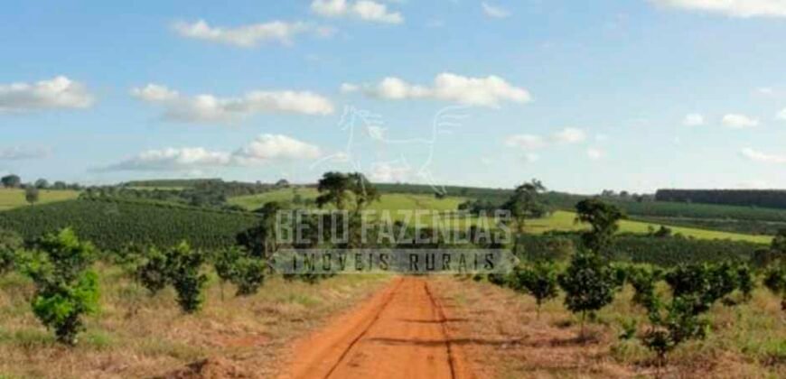 Fazenda de Laranja à Venda 170 Alqueires Infraestrutura Completa | Angatuba/ SP