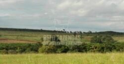 Fazenda de Laranja à Venda 170 Alqueires Infraestrutura Completa | Angatuba/ SP