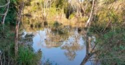 Fazenda de Laranja à Venda 170 Alqueires Infraestrutura Completa | Angatuba/ SP