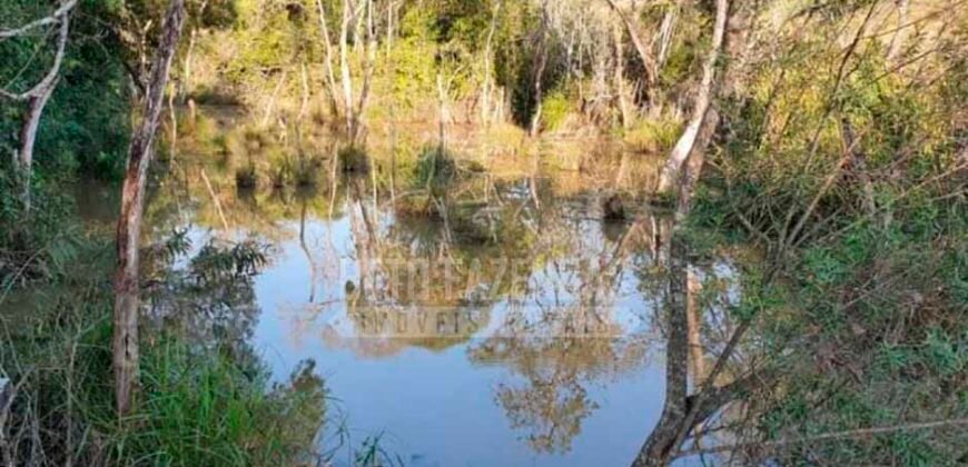 Fazenda de Laranja à Venda 170 Alqueires Infraestrutura Completa | Angatuba/ SP