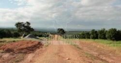 Fazenda de Laranja à Venda 170 Alqueires Infraestrutura Completa | Angatuba/ SP