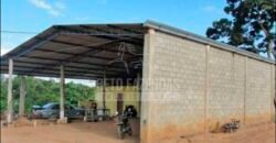 Fazenda de Laranja à Venda 170 Alqueires Infraestrutura Completa | Angatuba/ SP