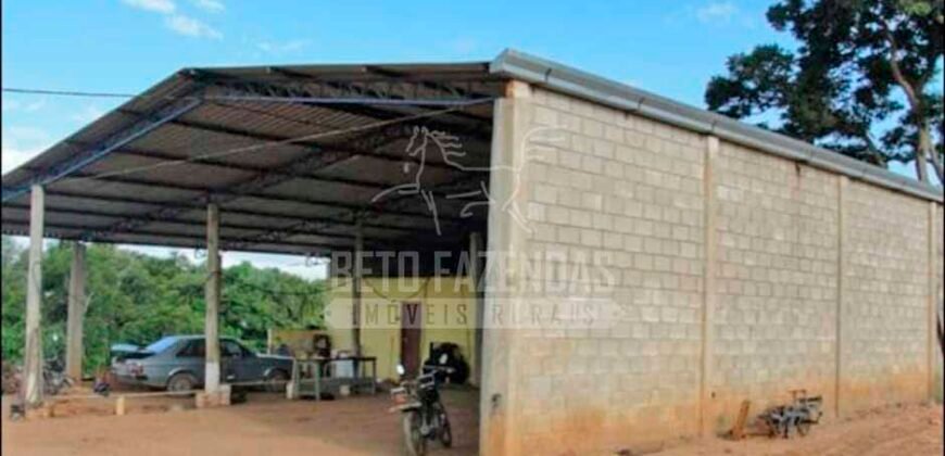 Fazenda de Laranja à Venda 170 Alqueires Infraestrutura Completa | Angatuba/ SP