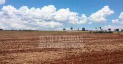Fazenda à Venda 116 Alqueires Produção de Soja Oportunidade Agronegócio | Rio Verde/GO