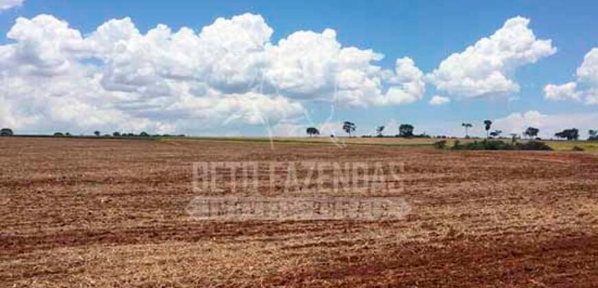 Fazenda à Venda 116 Alqueires Produção de Soja Oportunidade Agronegócio | Rio Verde/GO