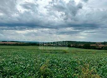 Fazenda à Venda 116 Alqueires Produção de Soja Oportunidade Agronegócio | Rio Verde/GO Fazenda à Venda 116 Alqueires Produção de Soja Oportunidade Agronegócio | Rio Verde/GO