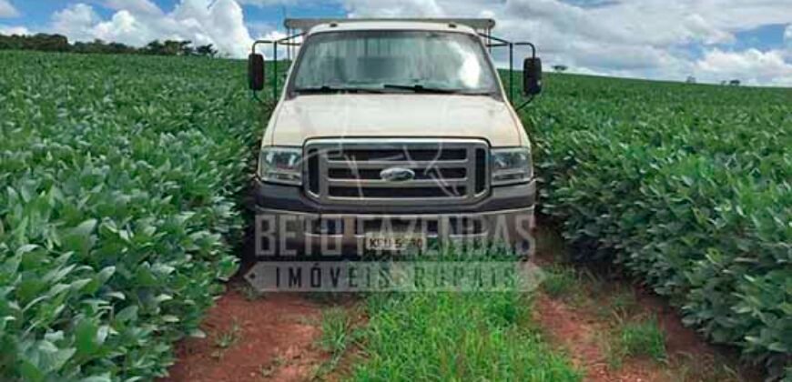 Fazenda à Venda 116 Alqueires Produção de Soja Oportunidade Agronegócio | Rio Verde/GO