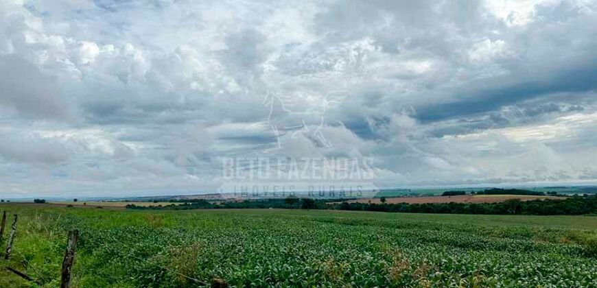 Fazenda à Venda 116 Alqueires Produção de Soja Oportunidade Agronegócio | Rio Verde/GO