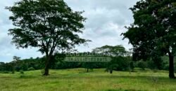 Fazenda à Venda 116 Alqueires Produção de Soja Oportunidade Agronegócio | Rio Verde/GO