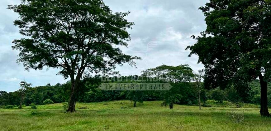 Fazenda à Venda 116 Alqueires Produção de Soja Oportunidade Agronegócio | Rio Verde/GO