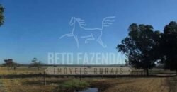 Fazenda de Cinema com 2.032,32 hectares – Altamente Produtiva e Pronta para Investir! | Pirapora/MG