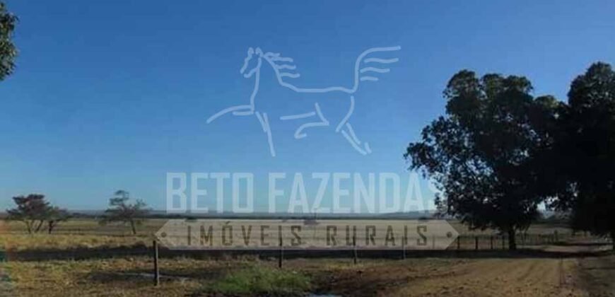 Fazenda de Cinema com 2.032,32 hectares – Altamente Produtiva e Pronta para Investir! | Pirapora/MG