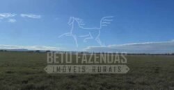 Fazenda de Cinema com 2.032,32 hectares – Altamente Produtiva e Pronta para Investir! | Pirapora/MG