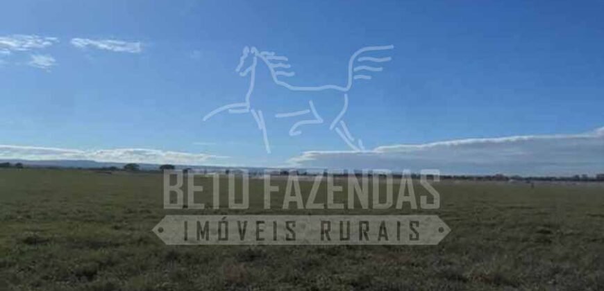 Fazenda de Cinema com 2.032,32 hectares – Altamente Produtiva e Pronta para Investir! | Pirapora/MG