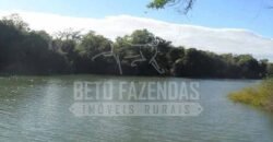 Fazenda de Cinema com 2.032,32 hectares – Altamente Produtiva e Pronta para Investir! | Pirapora/MG
