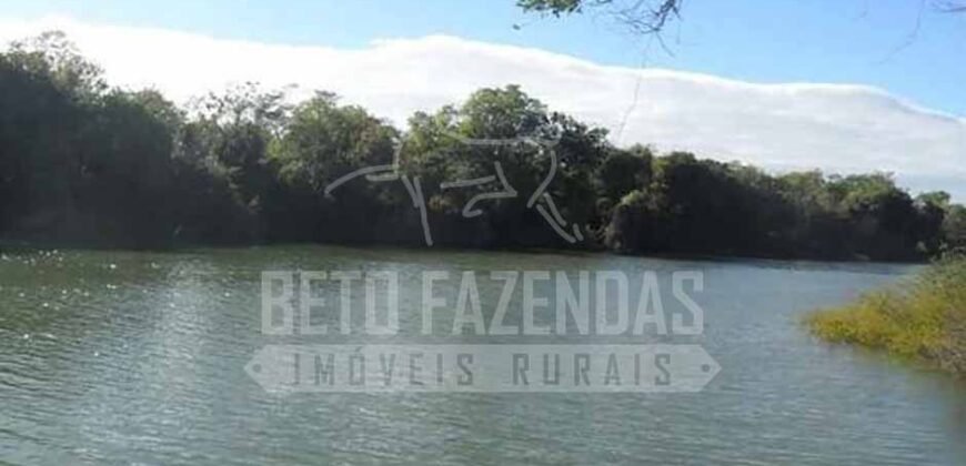 Fazenda de Cinema com 2.032,32 hectares – Altamente Produtiva e Pronta para Investir! | Pirapora/MG