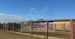 Fazenda de Cinema com 2.032,32 hectares – Altamente Produtiva e Pronta para Investir! | Pirapora/MG