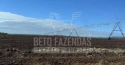 Fazenda de Cinema com 2.032,32 hectares – Altamente Produtiva e Pronta para Investir! | Pirapora/MG
