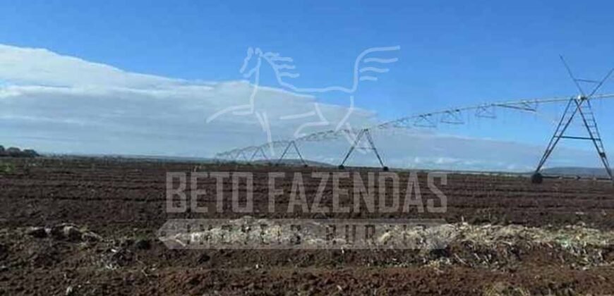 Fazenda de Cinema com 2.032,32 hectares – Altamente Produtiva e Pronta para Investir! | Pirapora/MG
