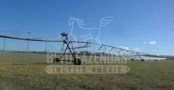 Fazenda de Cinema com 2.032,32 hectares – Altamente Produtiva e Pronta para Investir! | Pirapora/MG