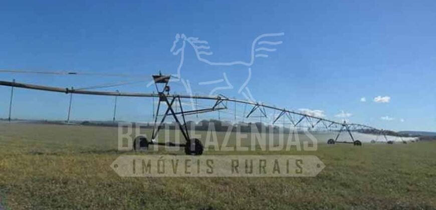 Fazenda de Cinema com 2.032,32 hectares – Altamente Produtiva e Pronta para Investir! | Pirapora/MG