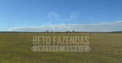 Fazenda de Cinema com 2.032,32 hectares – Altamente Produtiva e Pronta para Investir! | Pirapora/MG