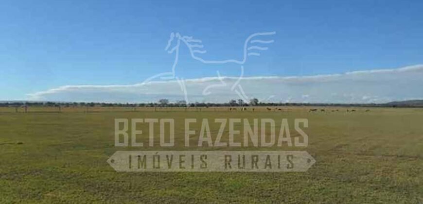 Fazenda de Cinema com 2.032,32 hectares – Altamente Produtiva e Pronta para Investir! | Pirapora/MG