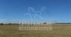 Fazenda de Cinema com 2.032,32 hectares – Altamente Produtiva e Pronta para Investir! | Pirapora/MG