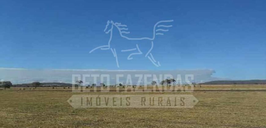 Fazenda de Cinema com 2.032,32 hectares – Altamente Produtiva e Pronta para Investir! | Pirapora/MG