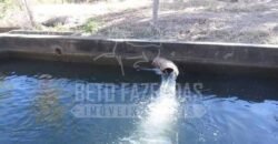 Fazenda de Cinema com 2.032,32 hectares – Altamente Produtiva e Pronta para Investir! | Pirapora/MG